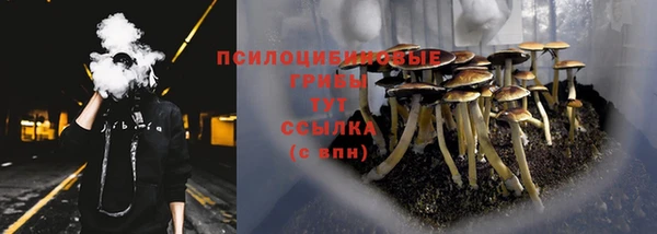 мдпв Лихославль